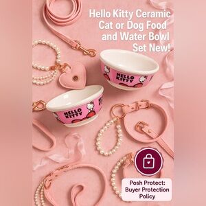 Hello Kitty Pink Ceramic Cat & Dog Food Water Bowl Set NWT